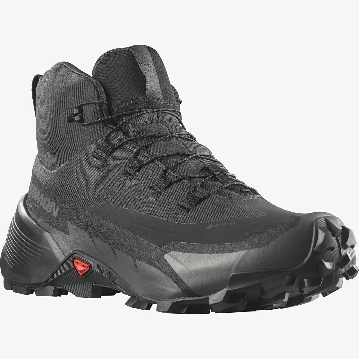 Salomon Erkek Bot L41735800 Black/Black/Magnet